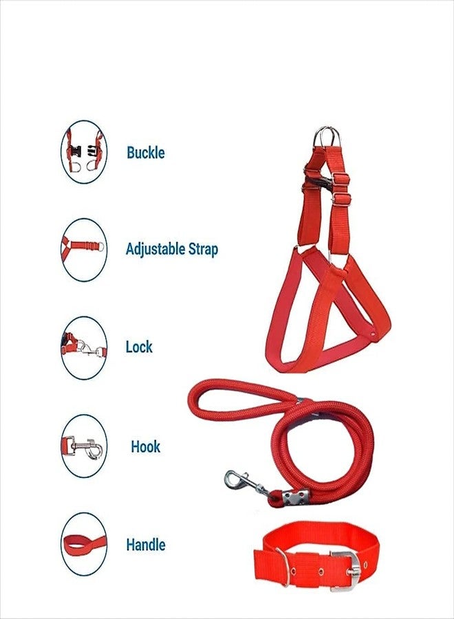 Smart Pups Dog Combo Pack of Harness, Neck Collar Belt and Rope Set (Black, Medium) (Red Combo Simple) - Image 2